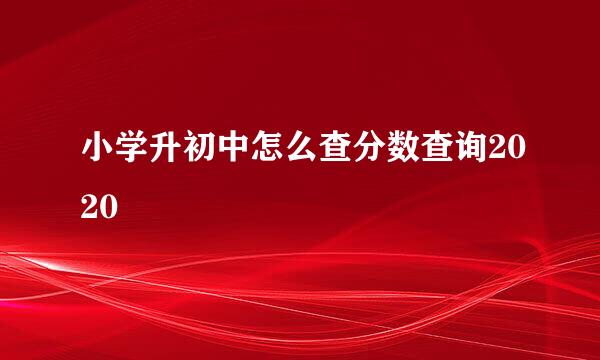 小学升初中怎么查分数查询2020