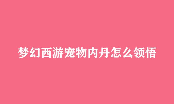 梦幻西游宠物内丹怎么领悟