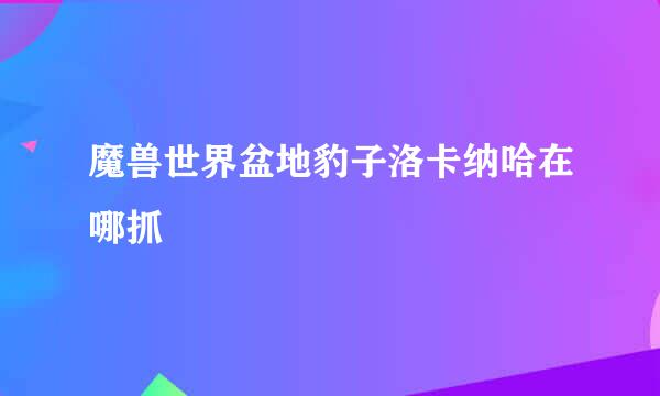 魔兽世界盆地豹子洛卡纳哈在哪抓