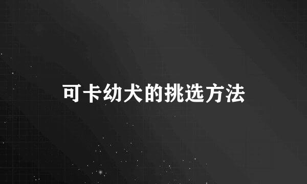 可卡幼犬的挑选方法