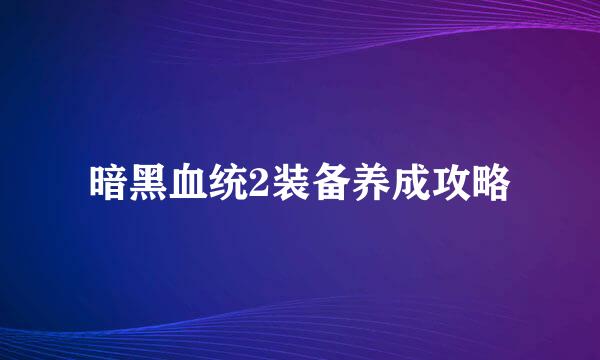 暗黑血统2装备养成攻略