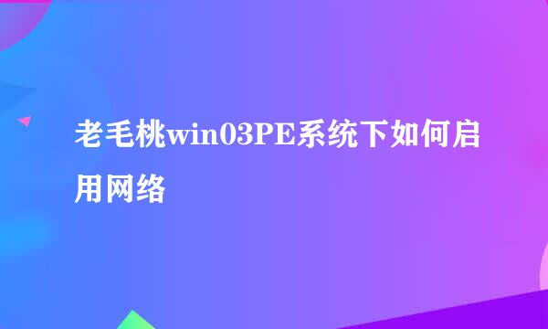 老毛桃win03PE系统下如何启用网络