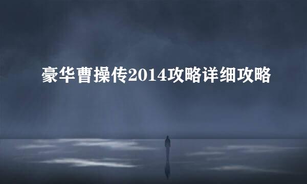 豪华曹操传2014攻略详细攻略