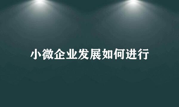 小微企业发展如何进行