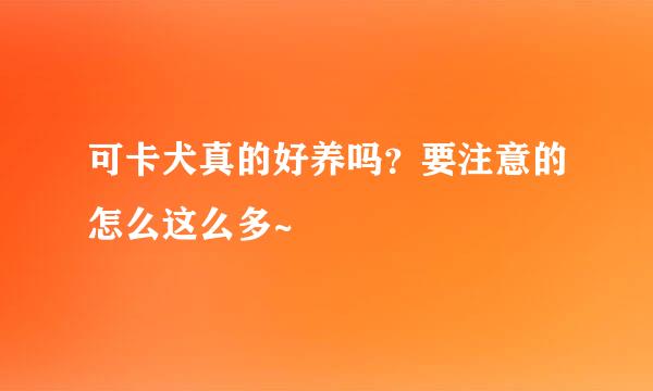 可卡犬真的好养吗？要注意的怎么这么多~