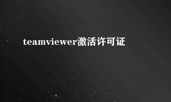 teamviewer激活许可证