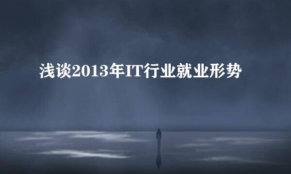 浅谈2013年IT行业就业形势