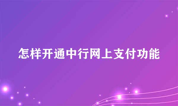 怎样开通中行网上支付功能