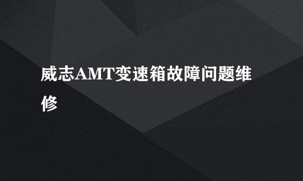 威志AMT变速箱故障问题维修