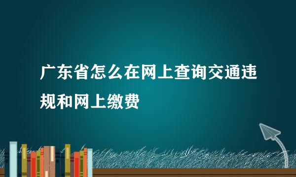 广东省怎么在网上查询交通违规和网上缴费