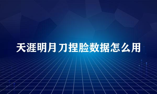 天涯明月刀捏脸数据怎么用