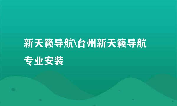 新天籁导航\台州新天籁导航专业安装