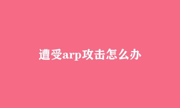 遭受arp攻击怎么办