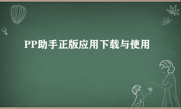 PP助手正版应用下载与使用