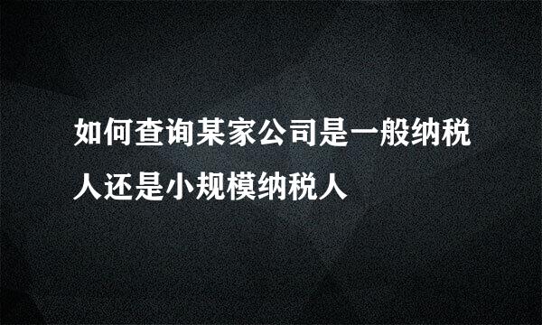 如何查询某家公司是一般纳税人还是小规模纳税人