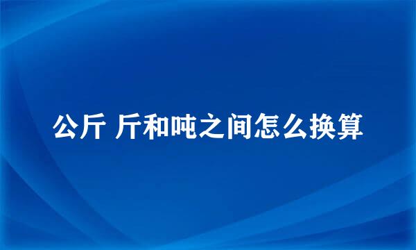 公斤 斤和吨之间怎么换算