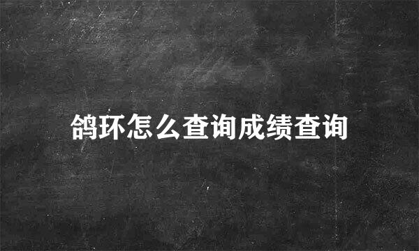 鸽环怎么查询成绩查询