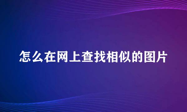 怎么在网上查找相似的图片