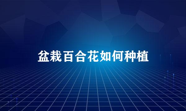 盆栽百合花如何种植