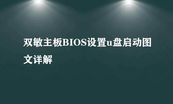 双敏主板BIOS设置u盘启动图文详解