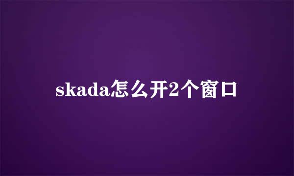 skada怎么开2个窗口