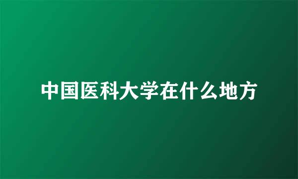 中国医科大学在什么地方