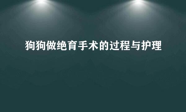 狗狗做绝育手术的过程与护理