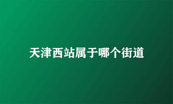 天津西站属于哪个街道