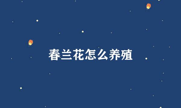 春兰花怎么养殖