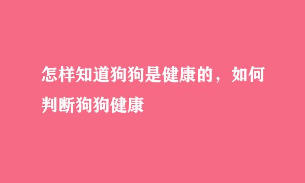 怎样知道狗狗是健康的，如何判断狗狗健康