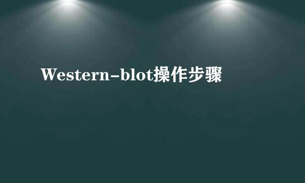 Western-blot操作步骤