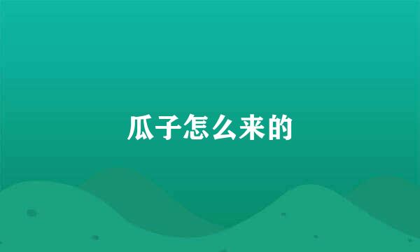 瓜子怎么来的