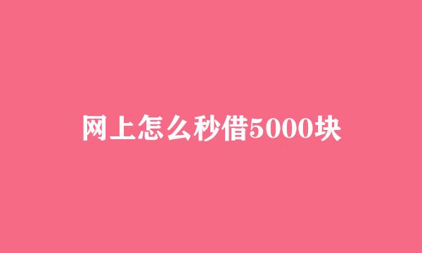 网上怎么秒借5000块