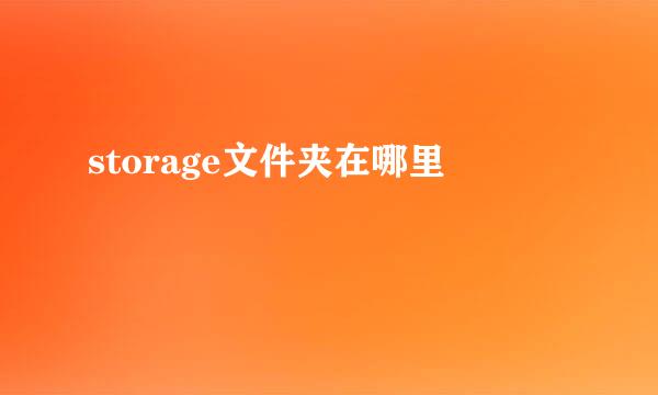 storage文件夹在哪里