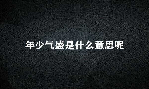 年少气盛是什么意思呢