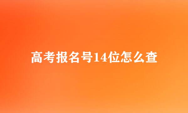 高考报名号14位怎么查