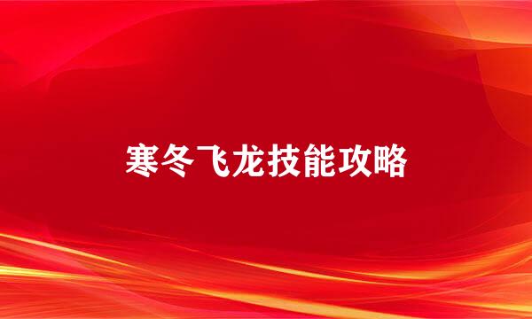 寒冬飞龙技能攻略