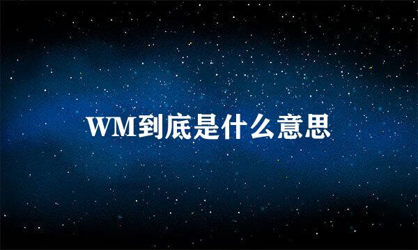 WM到底是什么意思