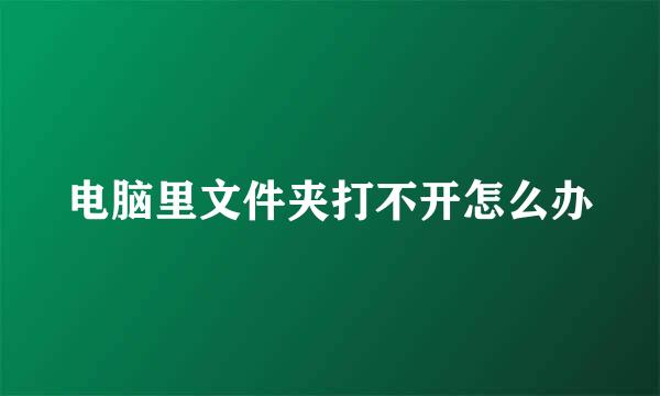 电脑里文件夹打不开怎么办