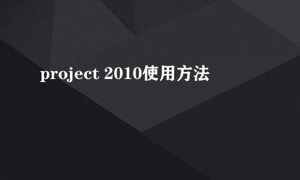 project 2010使用方法