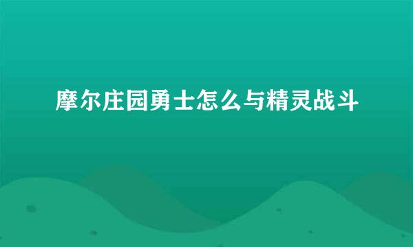 摩尔庄园勇士怎么与精灵战斗