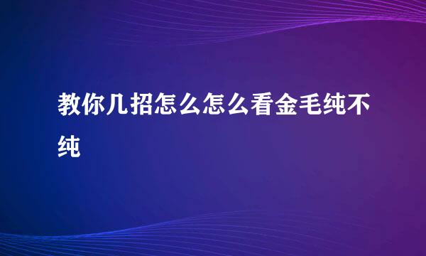 教你几招怎么怎么看金毛纯不纯