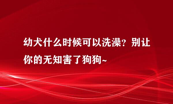 幼犬什么时候可以洗澡？别让你的无知害了狗狗~