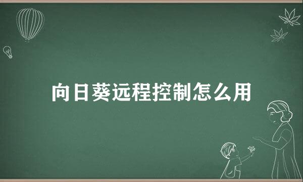 向日葵远程控制怎么用