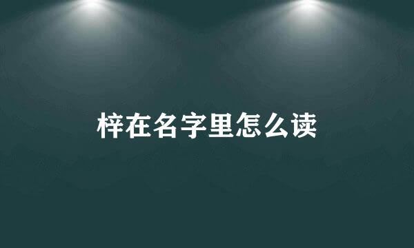 梓在名字里怎么读