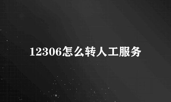 12306怎么转人工服务