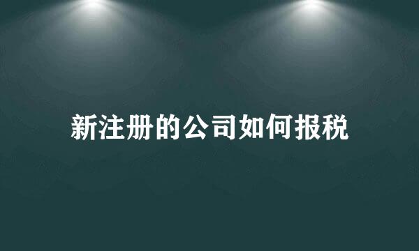 新注册的公司如何报税