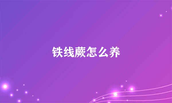 铁线蕨怎么养