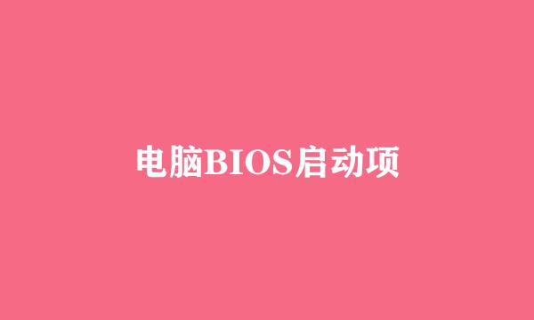 电脑BIOS启动项