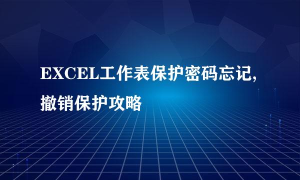 EXCEL工作表保护密码忘记,撤销保护攻略